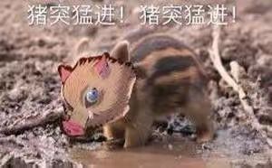 越小众游戏越坑钱 1