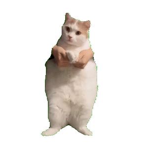 免费送领主和边塞重弩兑换码，先到先得