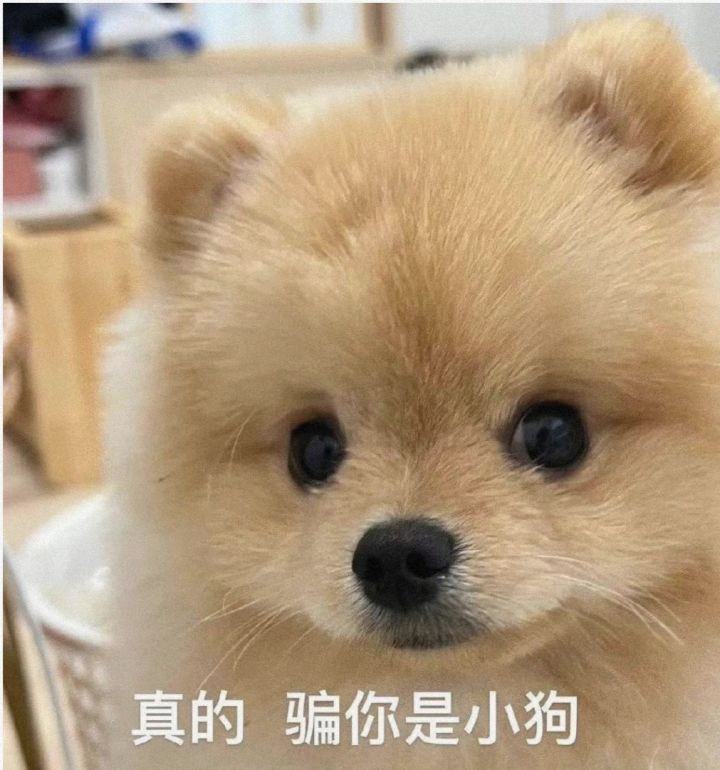 大伙不要被骗了,实际公测时间是7月5日,官方发的预告其实打错日期了,有了前两次的教训,各位千万要记得7.5号上午8.00就开始等开服。截图
