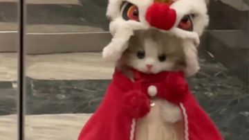 地狱光自用盘分享