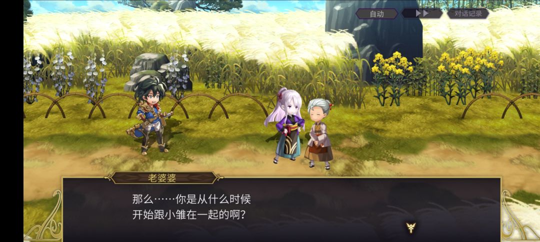 渣猫依旧稳定发挥 2