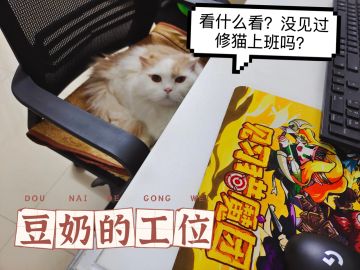 【爆料】杜内酱原型其实是工作室的元老猫
玩了我们《见习猎魔团》的同学们，
应该都知道里面有个叫”杜内“的角色，
但很多人还不知道杜内的由来~~
冷水就跟大家分享一下“杜内”是怎么由“豆奶”演变而来的~
喵喵喵~~
——————————
【豆奶简历】
少侠（主美）的猫，工作室刚建立的时候，少侠就把豆奶带过来了，也算得上是工作室的元老。豆奶是高地立耳猫，有折耳猫的基因，一岁前很活泼，一岁时候关节发病后