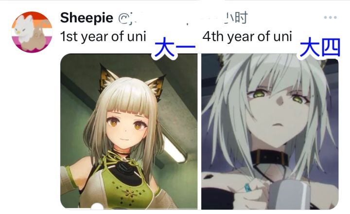 终于要开始了截图