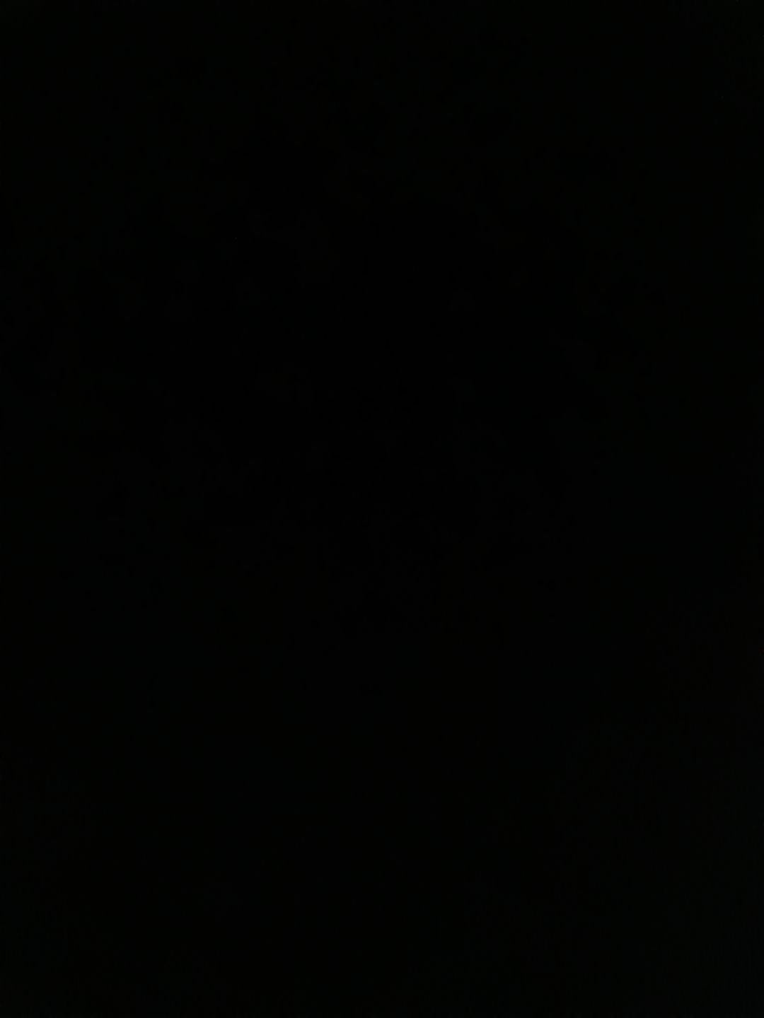 动态图片 5