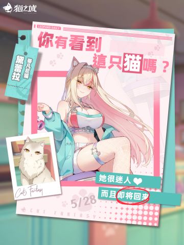 🐾寻猫启事：你有看到蒂凡尼猫吗？