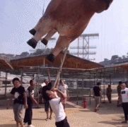 一天了!还没修复吗?!截图