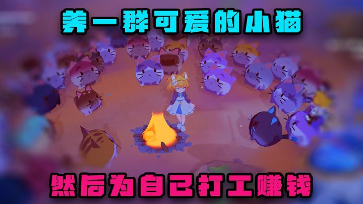 养一群猫，然后为自己打工赚钱截图