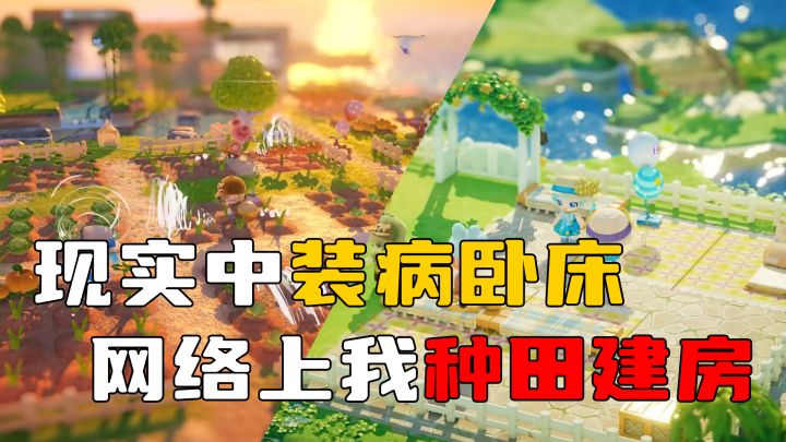 现实中我装病在床,网络上我种田建房截图