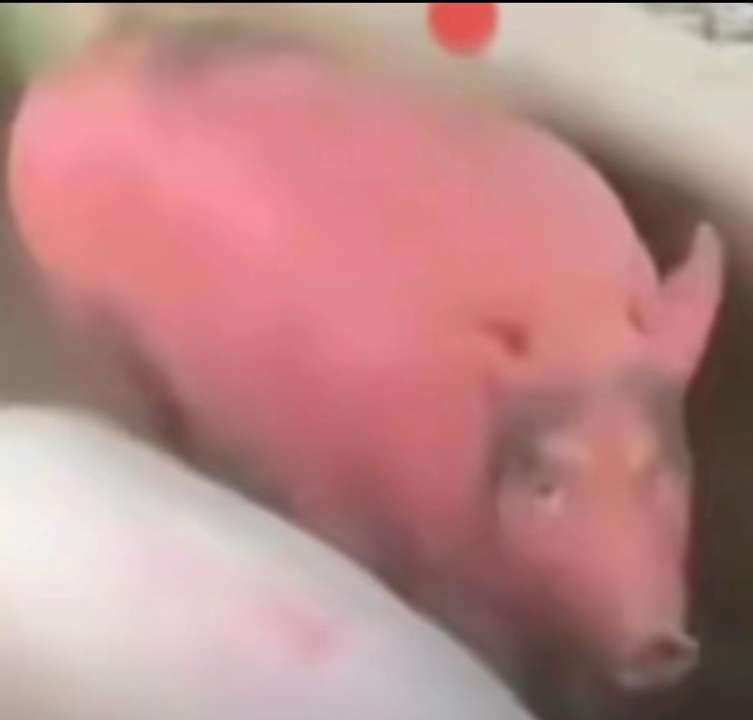 难以评价 1