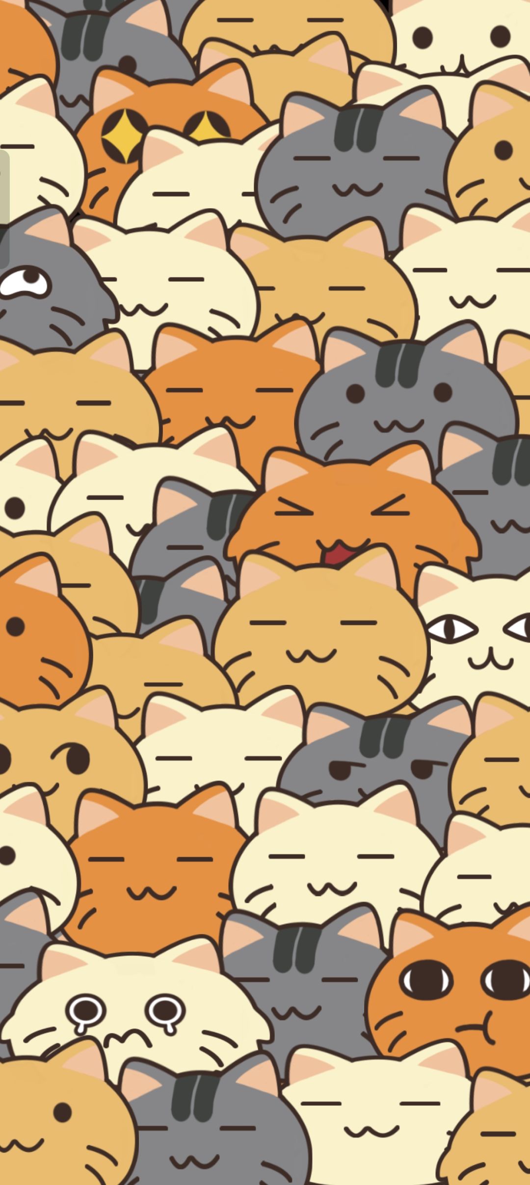 猫猫可爱,当个壁纸真不错 1