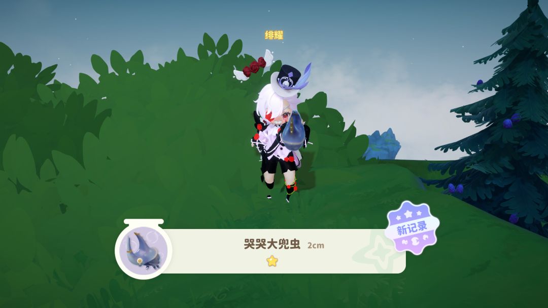 哭哭大兜虫,小月蜂点位 1