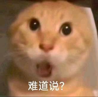 boss进货出机密喽 3