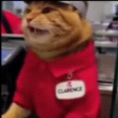 s2版本天梯环境更新