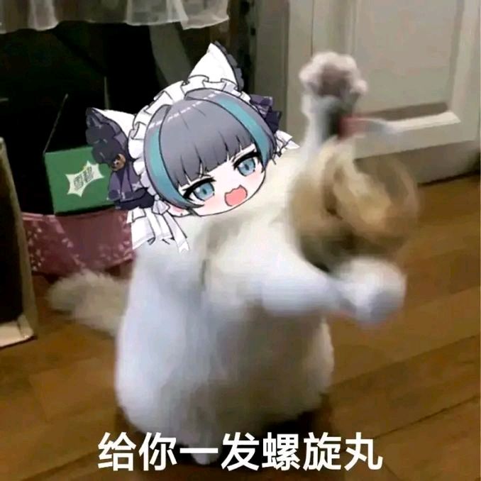柴郡猫猫 10