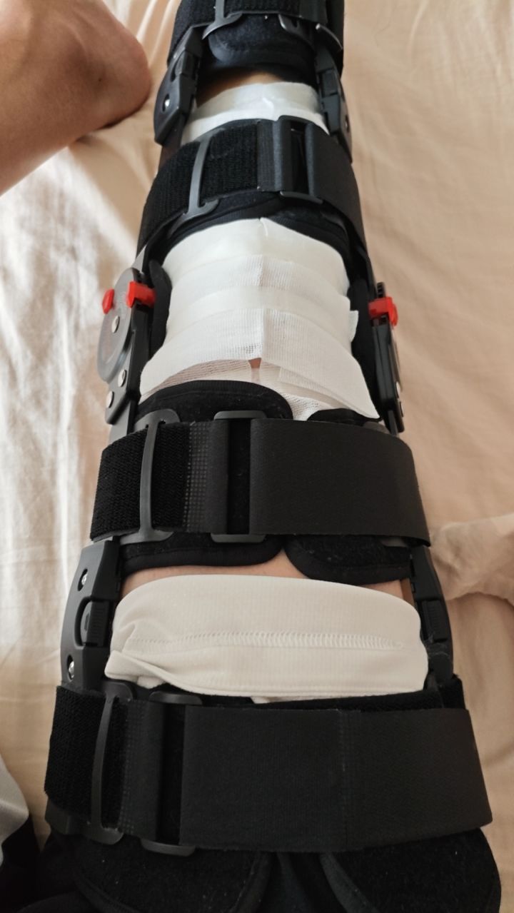 推荐一下好玩的手游人多的那种截图