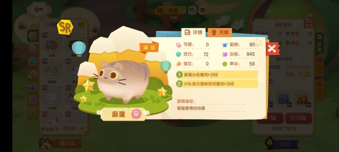 生猫记录 3