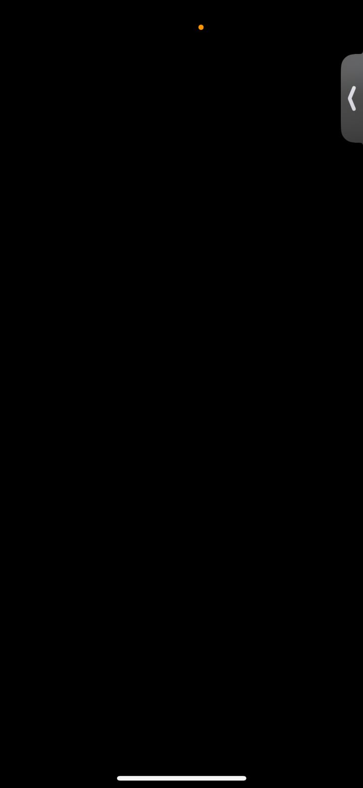 下载后进去加载就黑屏了截图