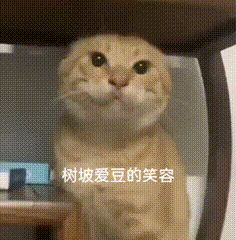 元气骑士,集!结!队伍ID:SKt4JSA9KMz7eL截图
