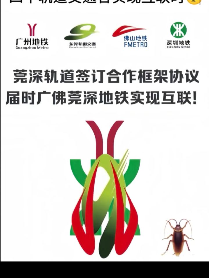 不愧是广东省省宠截图
