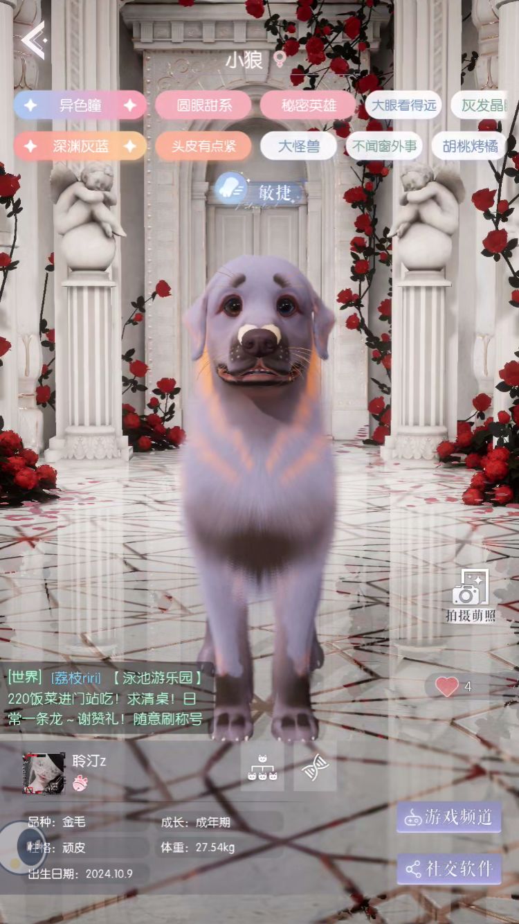 动态图片 6