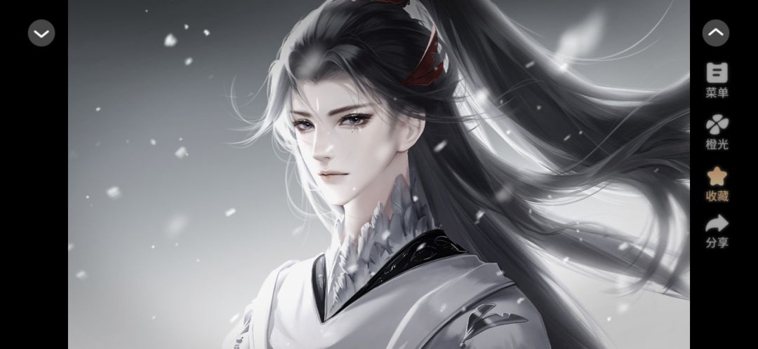 白毛黑毛 2