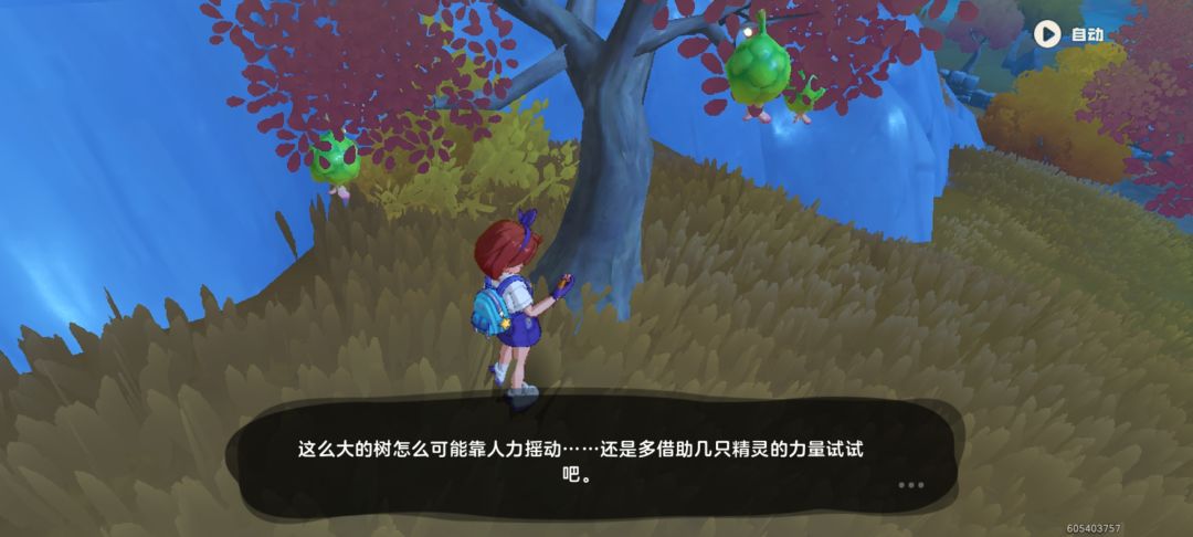可可果节 1