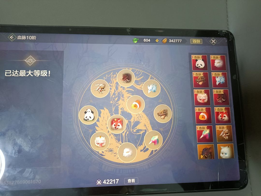 动态图片 5