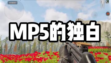 你好，我是新手领航员-MP5