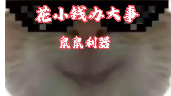 【三角洲行动】高性价比平民神器第三期!花小钱办大事,鼠鼠利器截图