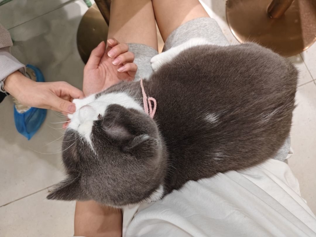 一区千灯招人啦!~(=^‥^) 8