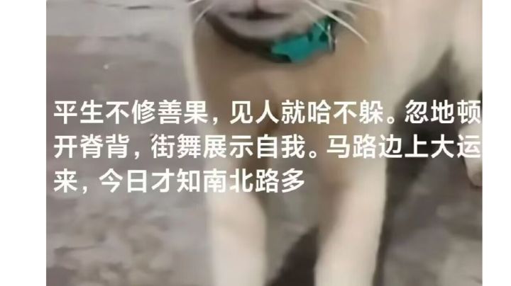 菜谱养殖场派遣攻略截图