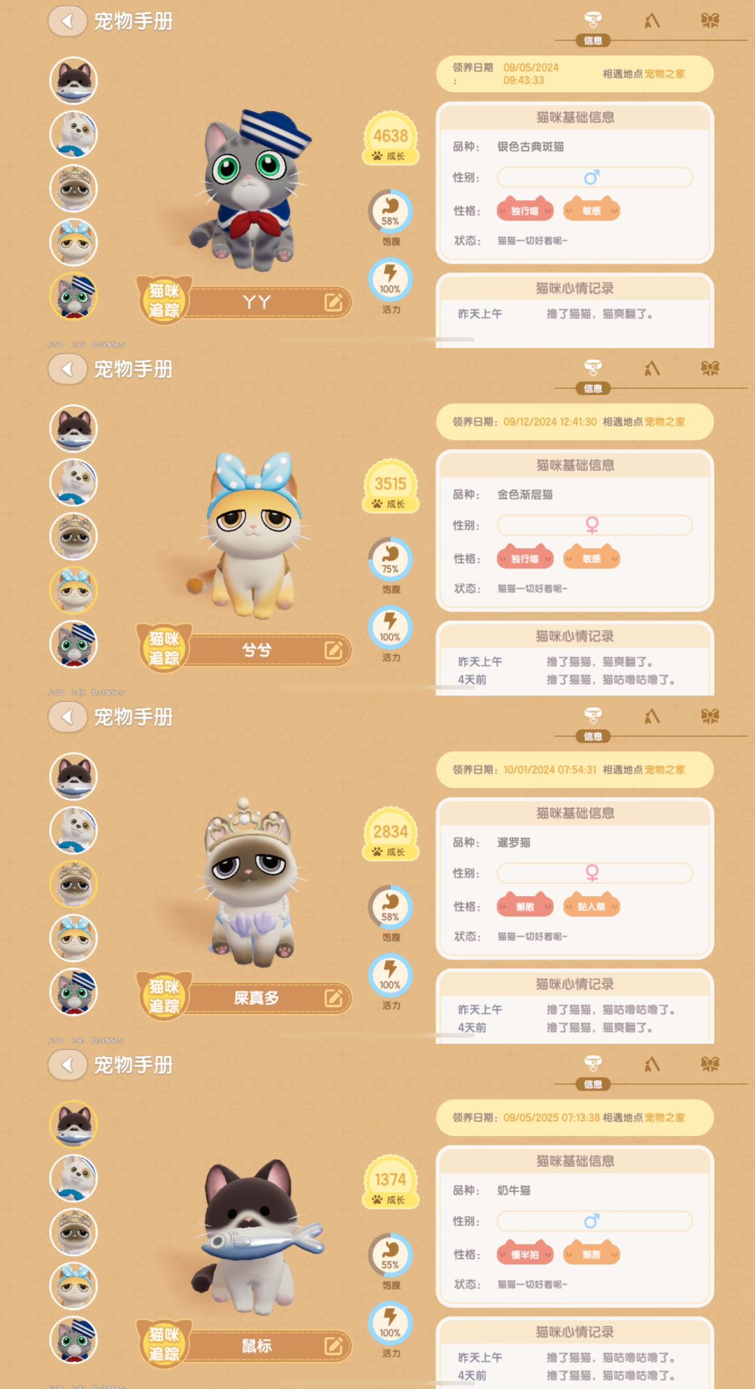四只喵喵的铲屎官想来只不一样的喵 2