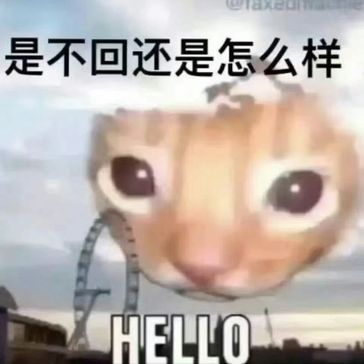 如果我告诉你我玩代号鸢截图