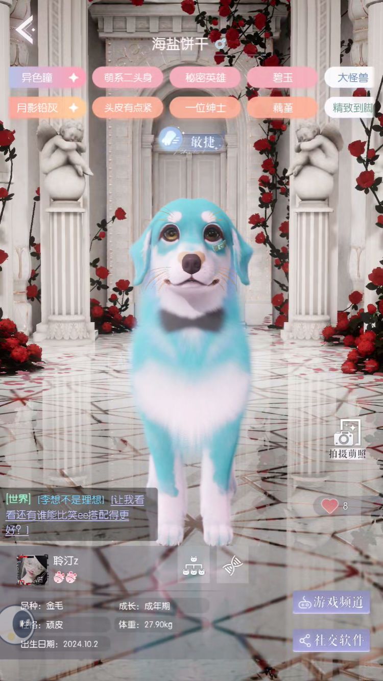 动态图片 5