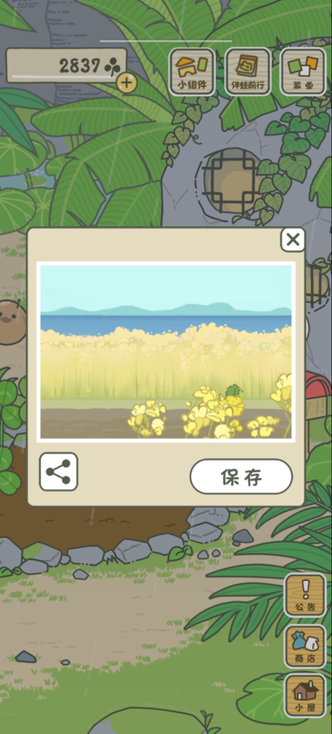 动态图片 15