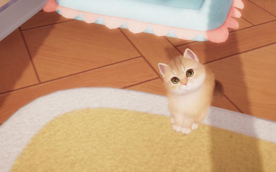 猪咪猪咪 8