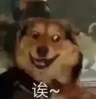 放一些图片 15