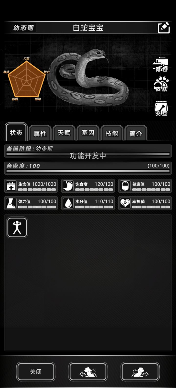 宠物怎么突破到下个阶段截图
