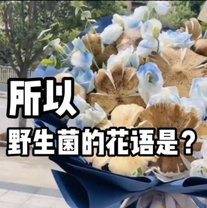 看了下脉,下线忘记清后台了截图