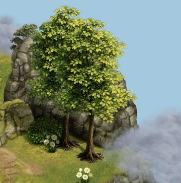 营地里的免费风景区