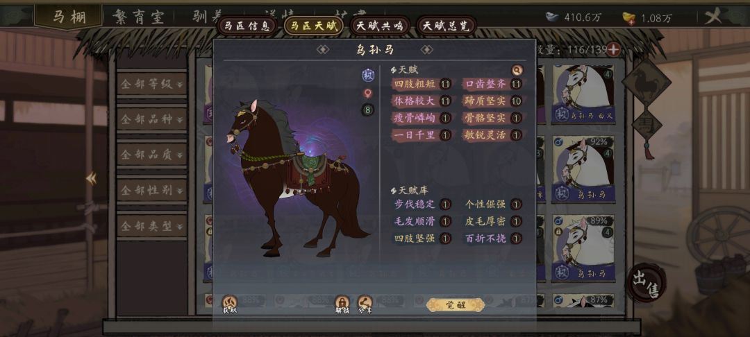 培训马 2