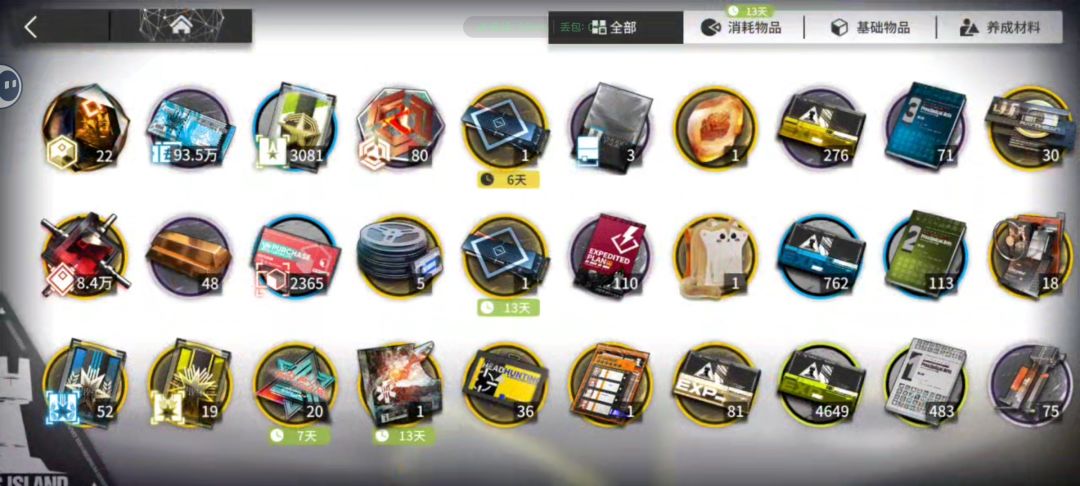 给维什戴尔攒石头的第89天 1