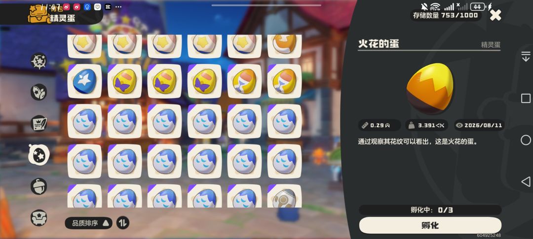 604925248 2