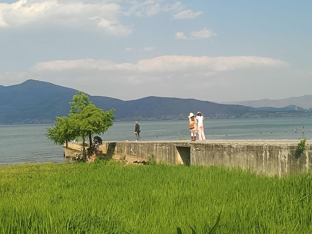 新手攻略平民 1