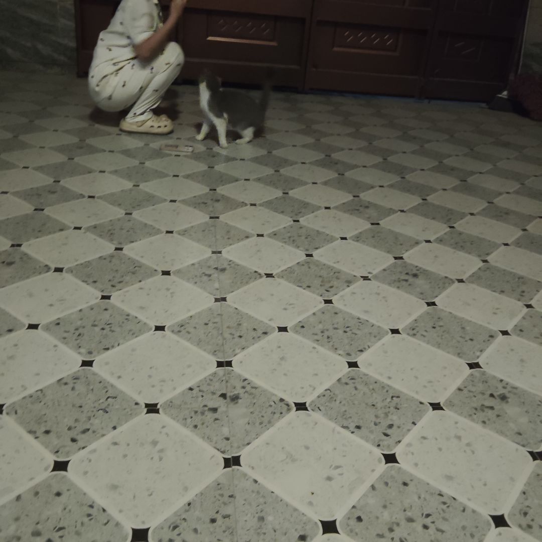 动态图片 17