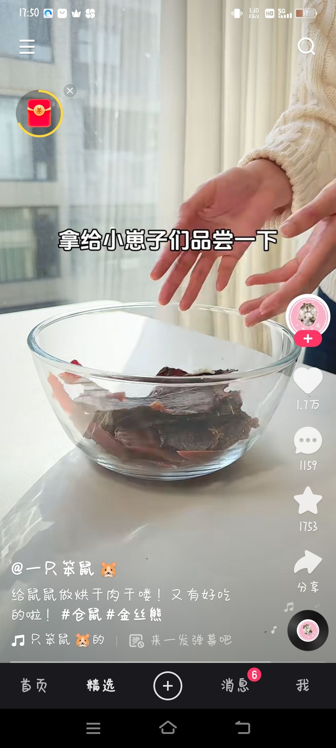 动态图片 5