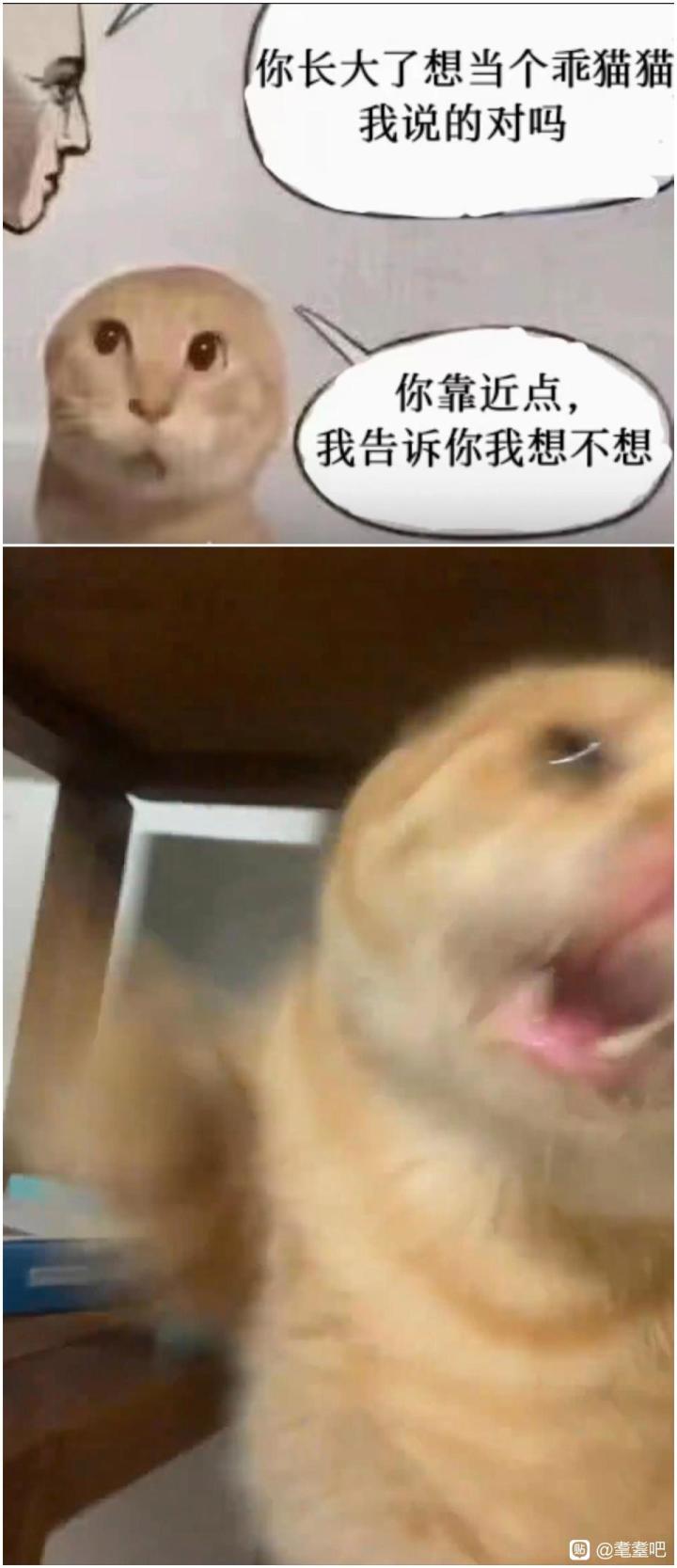 曙光骑士小公主怎么样截图