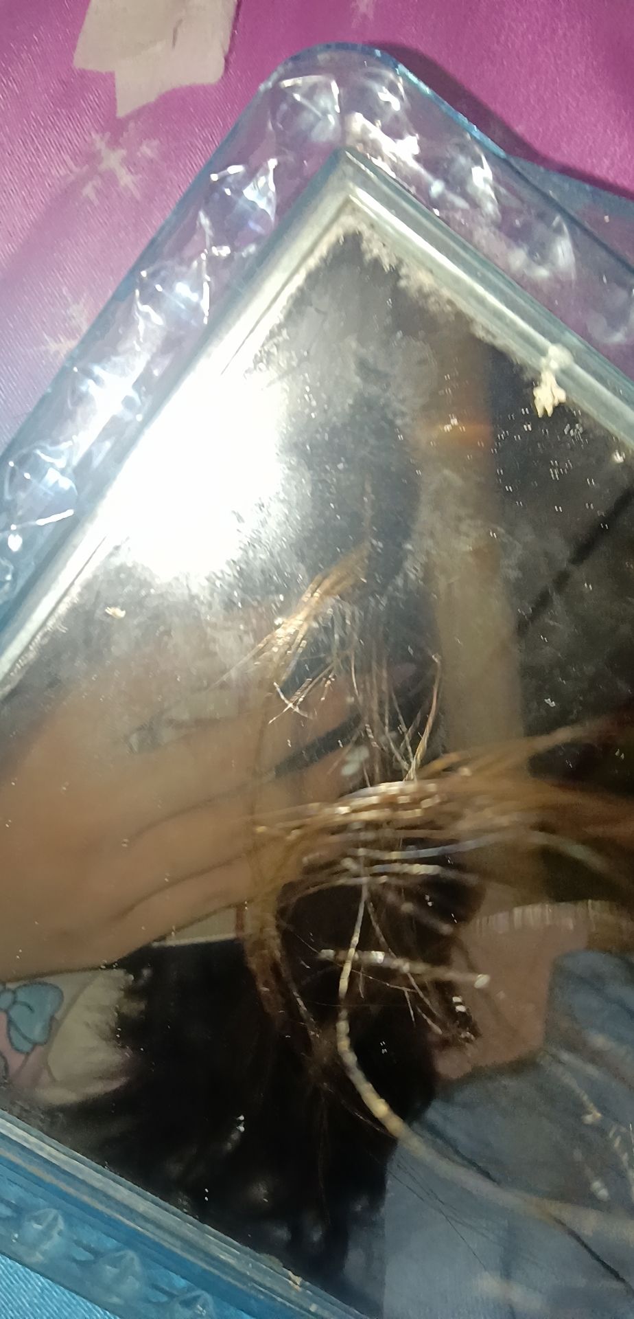 动态图片 10