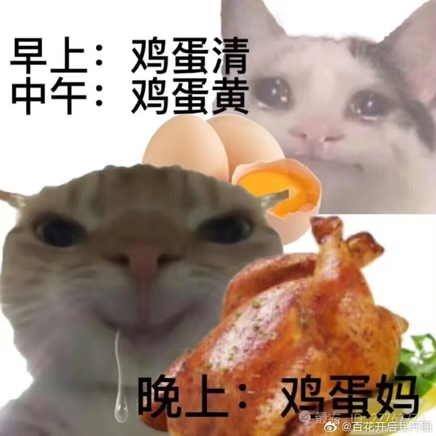 也玩了一个月了,游戏真的越来越无聊啊 1