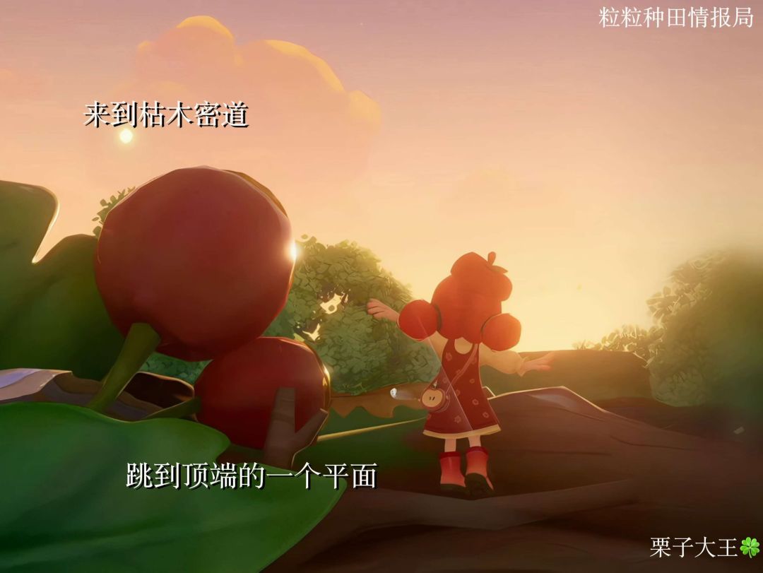 小人国出片点位|枯木迷宫 4